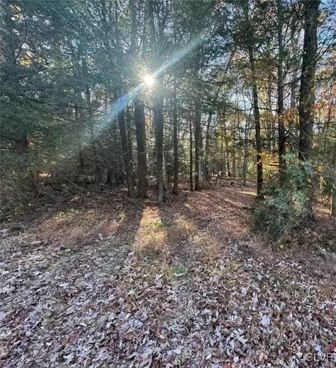 Stone Mountain Drive West, East Penn Twp, PA 18235