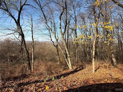 Valley View Avenue, Forks Twp, PA 18040