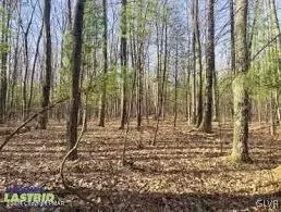 0 Pine Creek Rd, Wayne, PA 18428