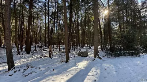 Treetop Lane, Kidder Twp, PA 18210