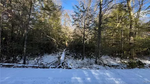 Driftwood Drive, Kidder Twp, PA 18210