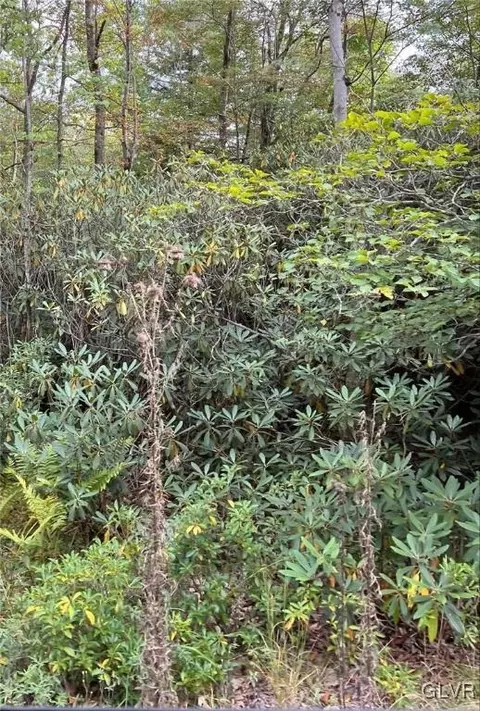 delaware drive #C283, Penn Forest Twp, PA 18229