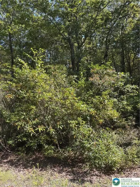 lot B10 W Clarkes Ln, Penn Forest Twp, PA 18229