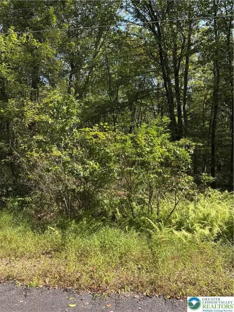 lot B11 W Clarkes Ln, Penn Forest Twp, PA 18229