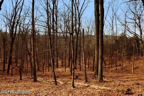 Spruce Lane, Penn Forest Twp, PA 18210