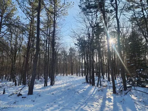 Masters Trail, Penn Forest Twp, PA 18210