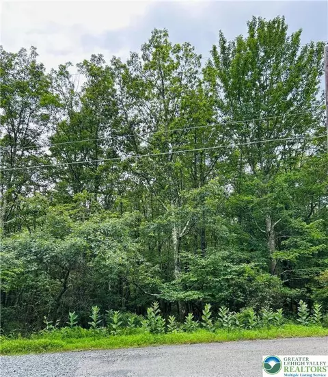 lot A107 Chippy Cir, Jim Thorpe Boro, PA 18229