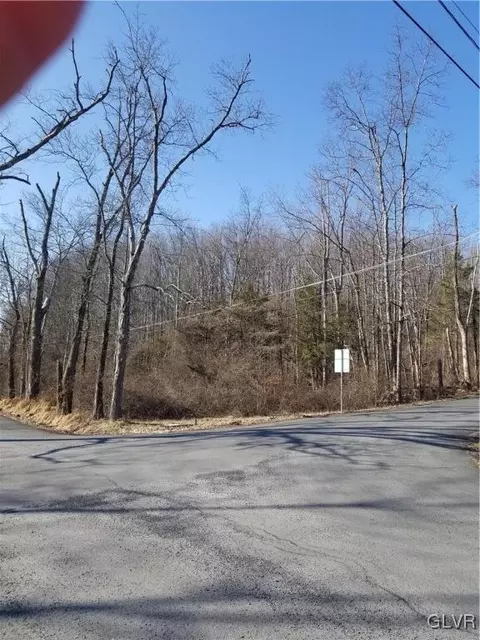 Rock Ridge Road, Tinicum Twp, PA 18942