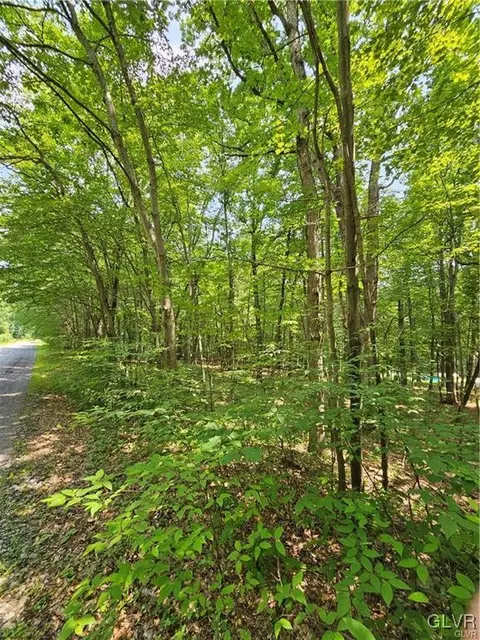 Dowbush Road, Mahoning Twp, PA 18235
