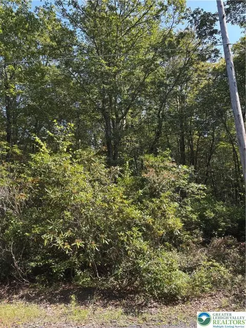 lot B9 W Clarkes Ln, Penn Forest Twp, PA 18229