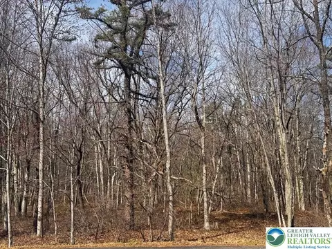 Bear Lane, Penn Forest Twp, PA 18229