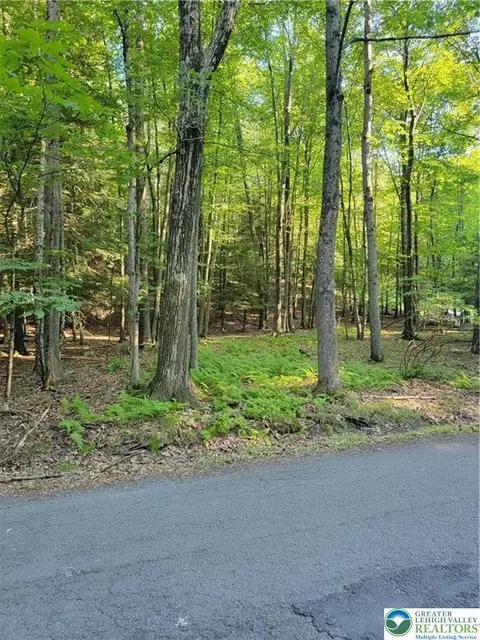 157 Pine Tree Dr #306, Paradise Twp, PA 18326