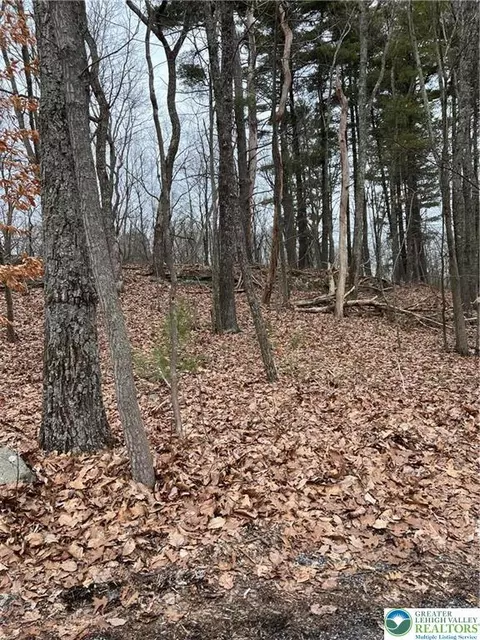 339 Williamson Dr, Smithfield Twp, PA 18301