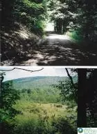 Pantherlick Road, Other, PA 18846