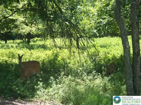 Kilmer Trail, Penn Forest Twp, PA 18210