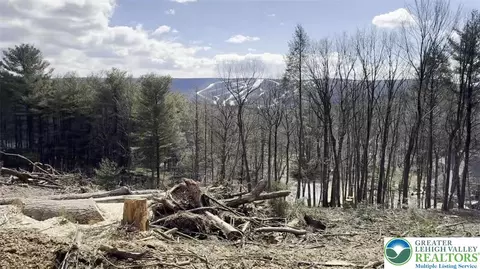 Northcreek Drive, Lower Towamensing Tp, PA 18071
