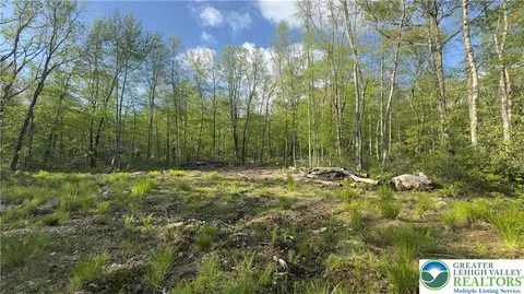 Butternut & Mahogany Road, Penn Forest Twp, PA 18229