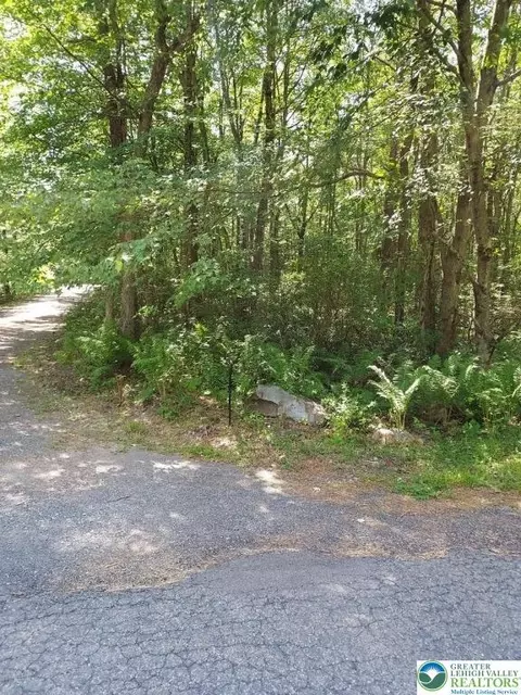 north sycamore & lauan lane #B193 & B194, Penn Forest Twp, PA 18229