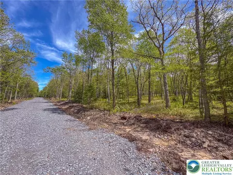 cross run road LOT 567, Penn Forest Twp, PA 18229