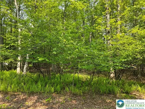 163 Piney Woods Dr, Penn Forest Twp, PA 18229