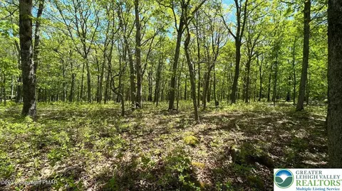 lot151 Bear Dr, Pike, PA 18324