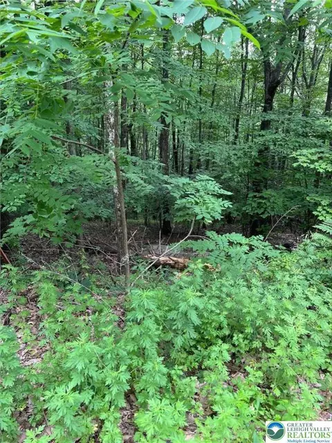 faber circle #40, Pocono Twp, PA 18372
