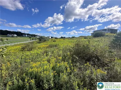 Dayne Drive, Towamensing Twp, PA 18235