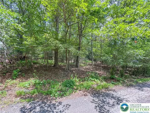 Birch Drive, Jim Thorpe Boro, PA 18229