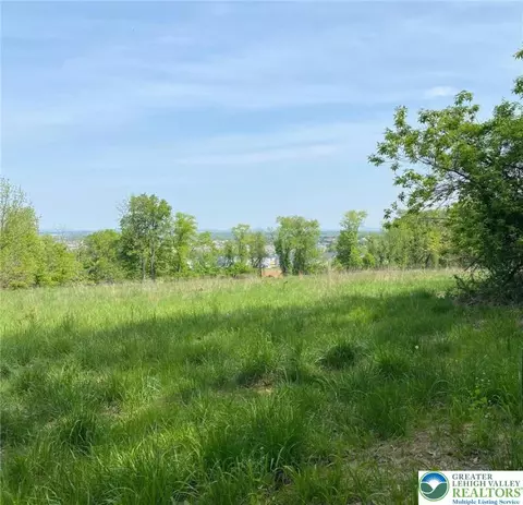 Mountain Lot 1, Lower Macungie Twp, PA 18062