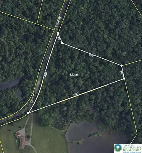 Olive Road, Lehigh Twp, PA 18038