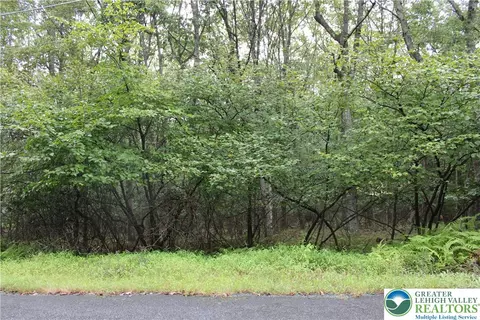 215 Maple Dr, Penn Forest Twp, PA 18229