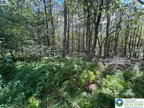 lot20 Alas Piney Woods Dr, Penn Forest Twp, PA 18229