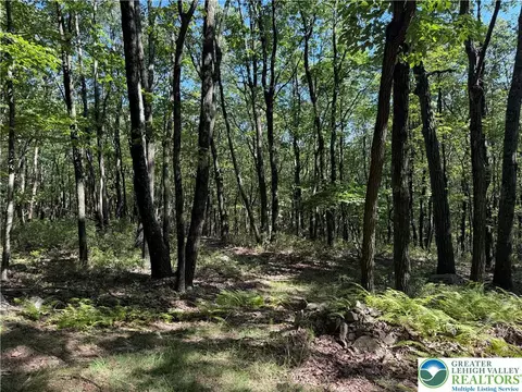 14 Berry Run Dr, Penn Forest Twp, PA 18229