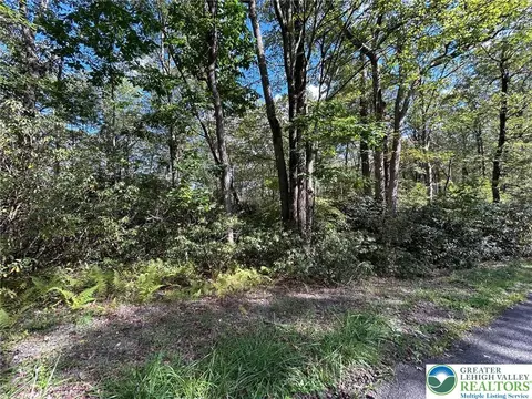 lot A12 Rhododendron Rd, Penn Forest Twp, PA 18229