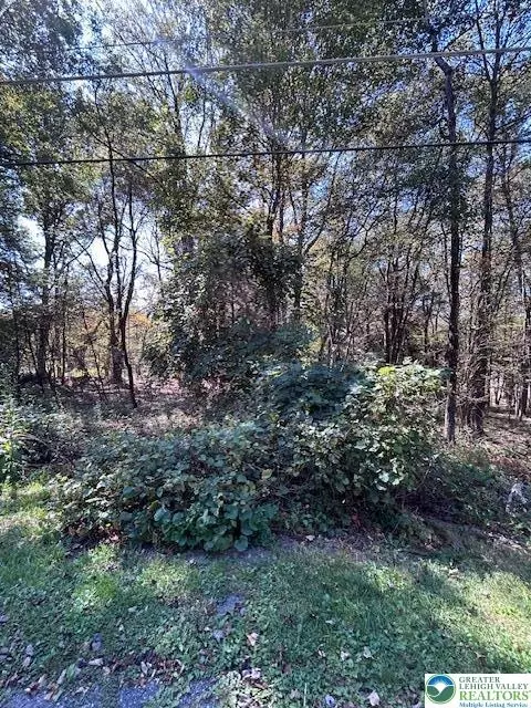 lot731 Yellow Run Rd, Penn Forest Twp, PA 18229