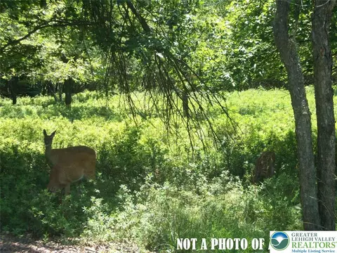 Sunrise Lane, Kidder Twp, PA 18210
