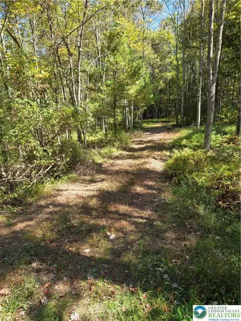 123 Stone Mountain Rd, East Penn Twp, PA 18235