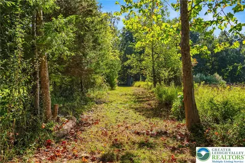 93 Coffeetown Rd, Williams Twp, PA 18042
