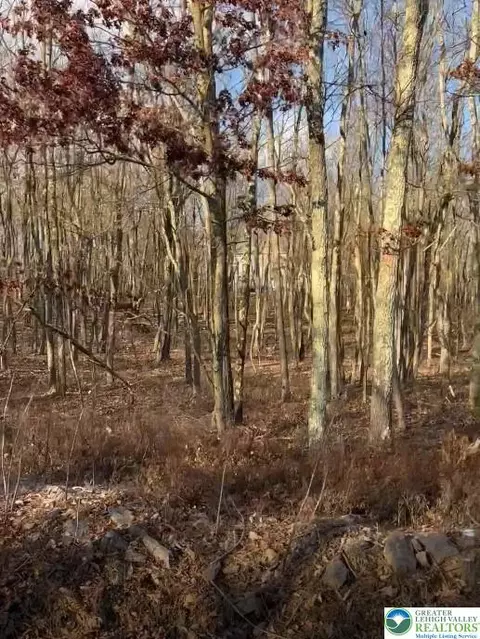 55 Arapahoe Rd #MV2330, Penn Forest Twp, PA 18210