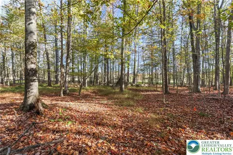 Cygnus Road, Lake Ariel, PA 18436