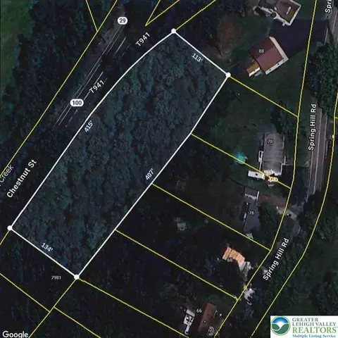 Chestnut Street, Hereford Twp, PA 18056