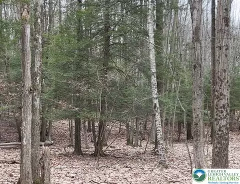 153 Pine Tree Dr, Paradise Twp, PA 18326