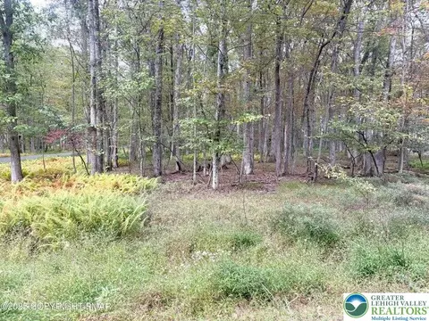 Willow Drive, Penn Forest Twp, PA 18229