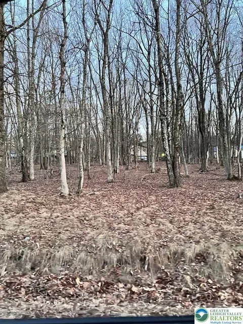 436 Mountain Rd #404, Tunkhannock Twp, PA 18210