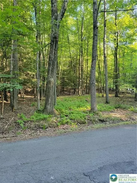 157 Pine Tree Dr #306, Paradise Twp, PA 18326