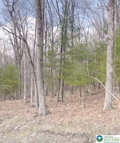 171 Station Rd #3, Paradise Twp, PA 18332