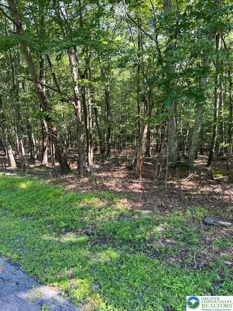 Pocono Forested, Middle Smithfield Twp, PA 18302