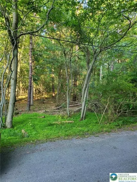 5120 Pine Tr Lane 808809 Ln #808,809, Tobyhanna Twp, PA 18346