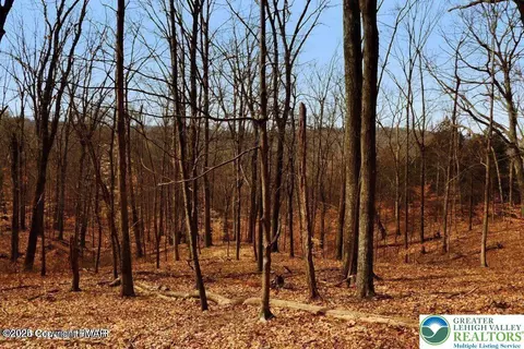 0 Deerfoot Pine Tree Rd, Penn Forest Twp, PA 18210