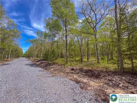 cross run road LOT 567, Penn Forest Twp, PA 18229